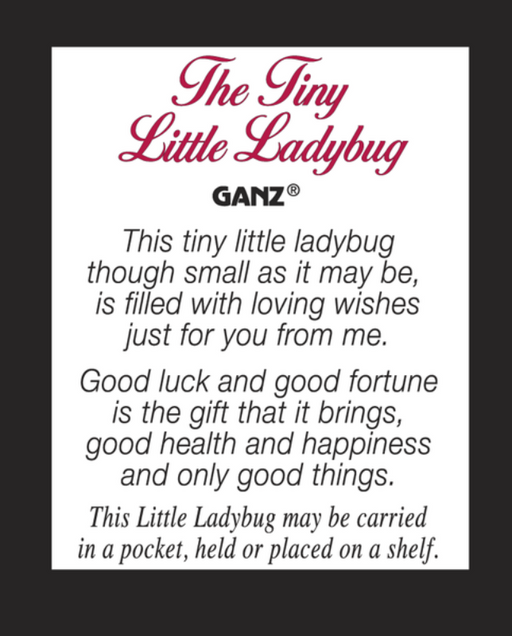 Tiny Little Ladybug Pocket Charm