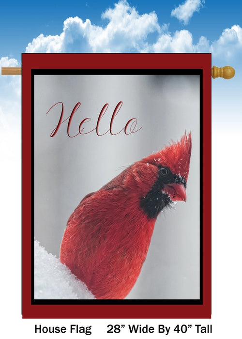 Hello Winter Cardinal Banner Flag