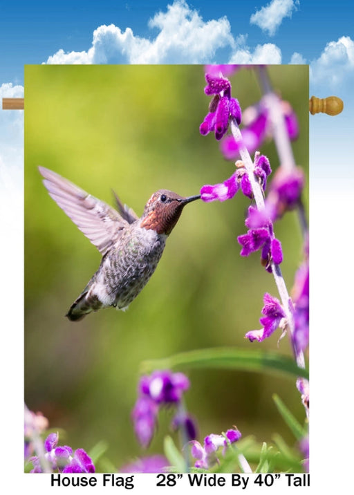 Hummingbird on Purple Banner Flag