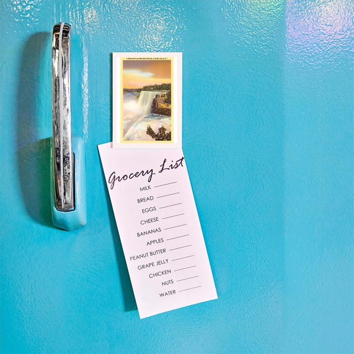 Niagara Falls From Goat Island Magnet