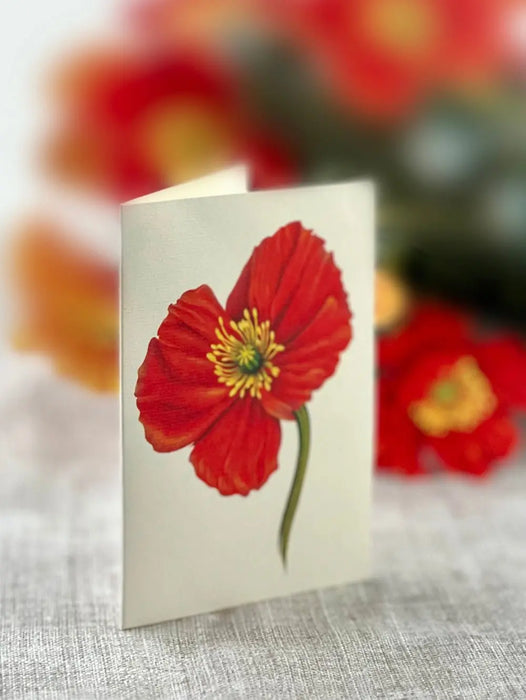 French Poppies Pop-Up Bouquet w/ Note Card