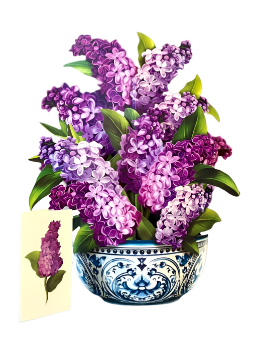 Garden Lilacs Pop-Up Bouquet w/ Note Card