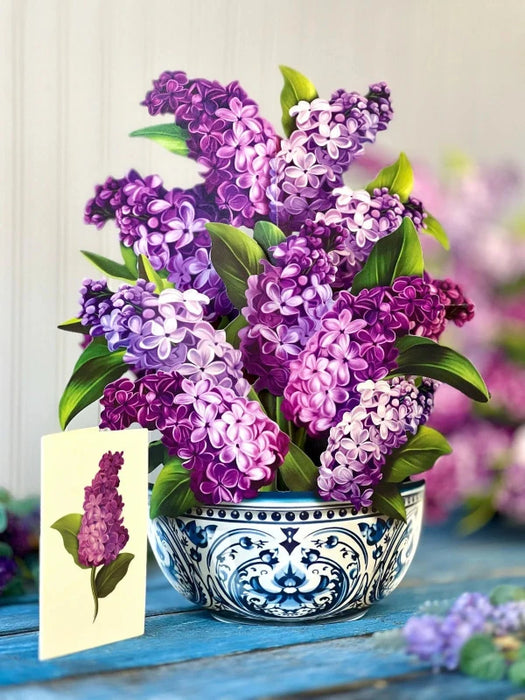 Garden Lilacs Pop-Up Bouquet w/ Note Card