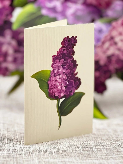 Garden Lilacs Pop-Up Bouquet w/ Note Card