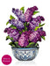 Garden Lilacs Pop-Up Bouquet w/ Note Card