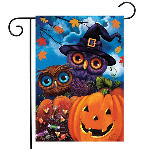 Happy Halloween Owls Garden Flag