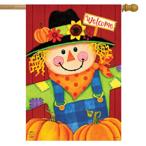 Scarecrow & Pumpkins Banner Flag