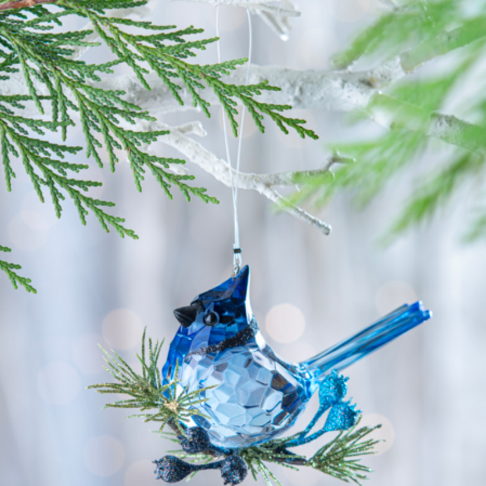 Mistletoe Blue Jay Acrylic Ornament