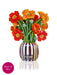 Mini French Poppies Pop-Up Bouquet w/ Note Card