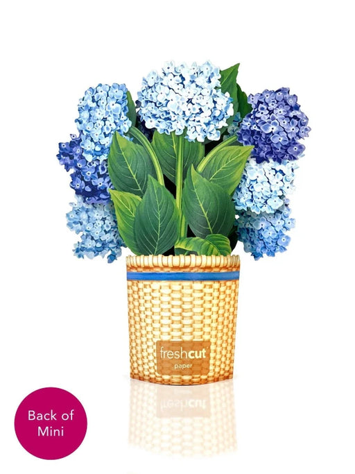 Mini Nantucket Hydrangeas Pop-Up Bouquet w/ Note Card