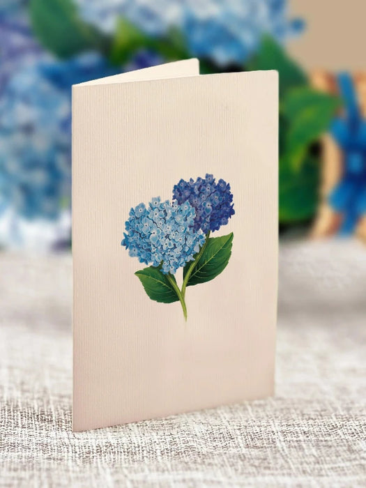 Mini Nantucket Hydrangeas Pop-Up Bouquet w/ Note Card