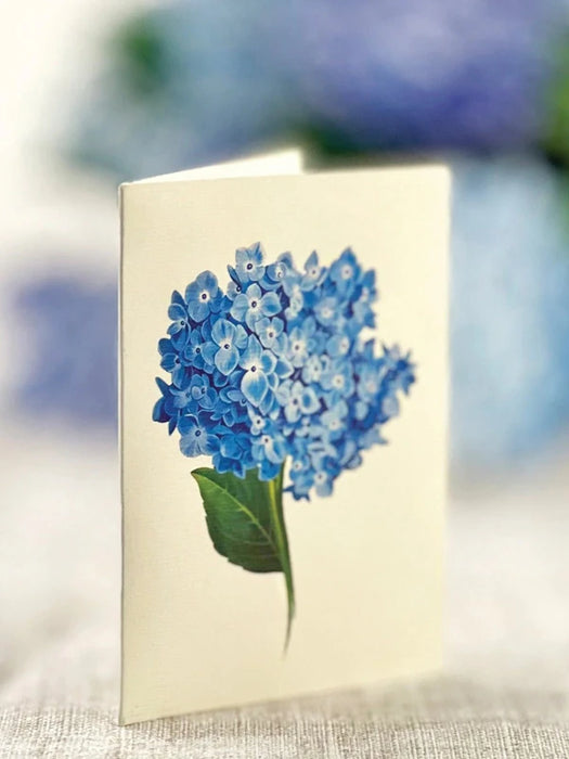 Nantucket Hydrangeas Pop-Up Bouquet w/ Note Card