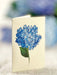 Nantucket Hydrangeas Pop-Up Bouquet w/ Note Card