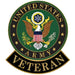 US Army Veteran Lapel Pin