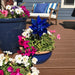 Blue Whirl Mylar Pinwheel