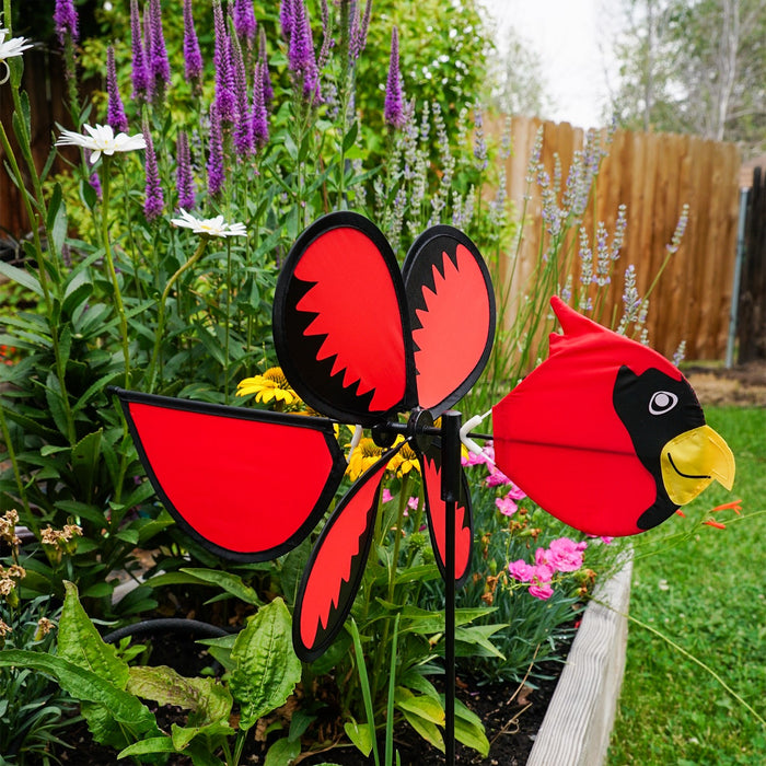 Cardinal Baby Spinner