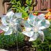 Silver Whirl Mylar Pinwheel