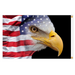 3x5' US Flag Eagle Nylon Flag