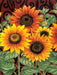 Sunflower Medley Banner Flag