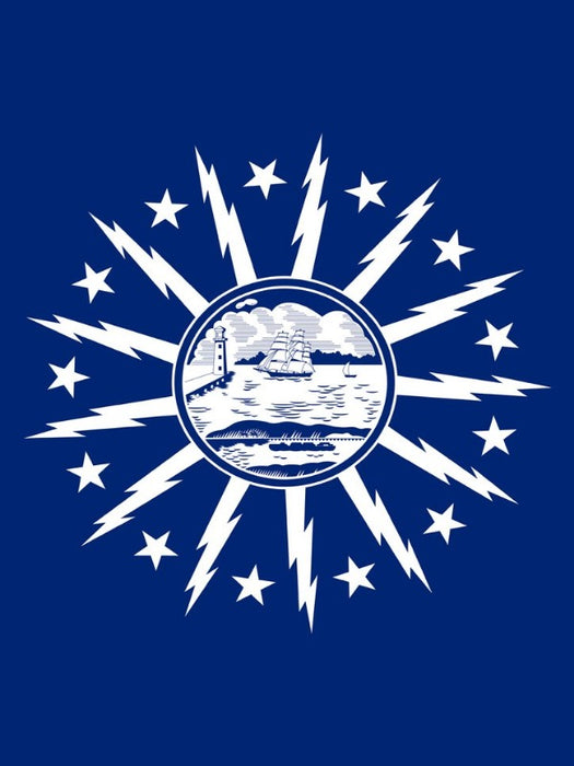 blue flag with the city of buffalo emblem in the center