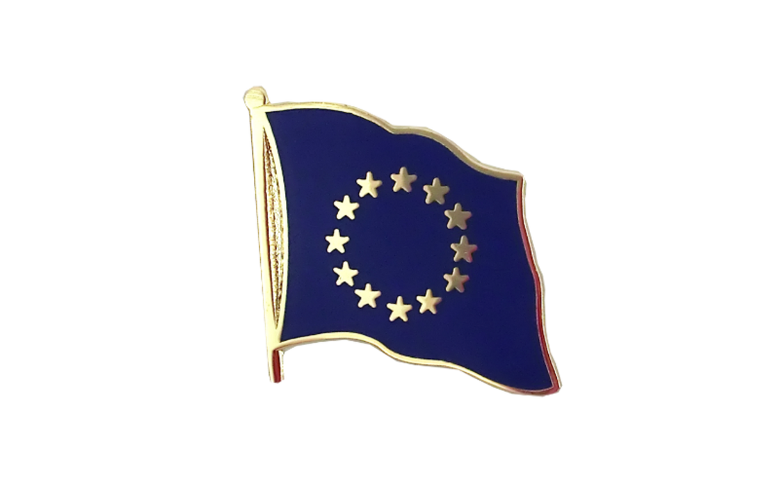 EUROPEAN UNION FLAG LAPEL PIN