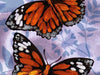 Flutter By Butterfly Banner Flag