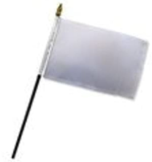 4x5" White Racing Stick Flag