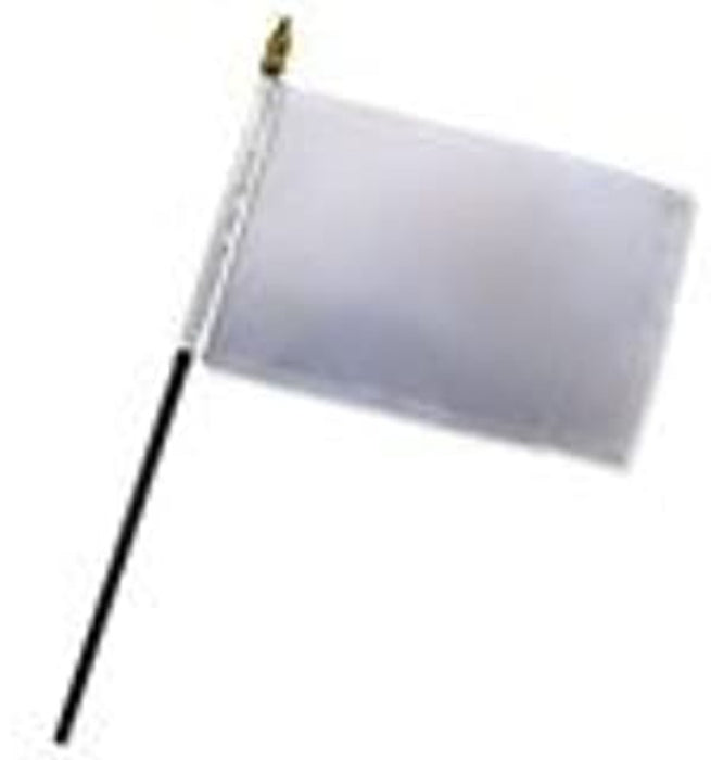 4x5" White Racing Stick Flag
