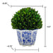 9.5" Naturally Preserved Boxwood Ball in Floral Ceramic Pot