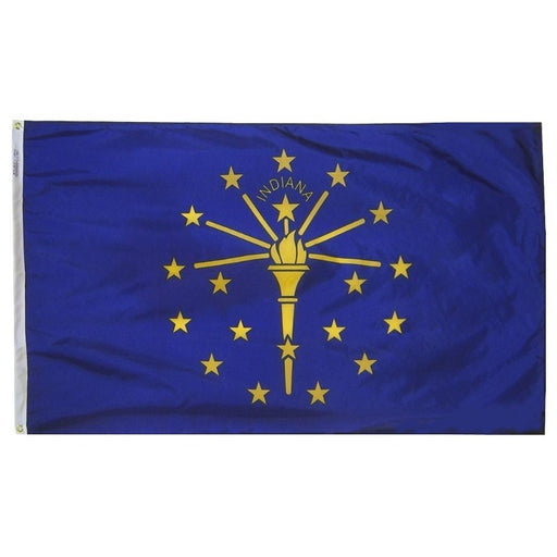 blue flag with yellow torch and stars