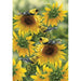 Summer Beauties Garden Flag - goldfinches and sunflowers