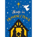 Heavenly Peace Applique Garden Flag