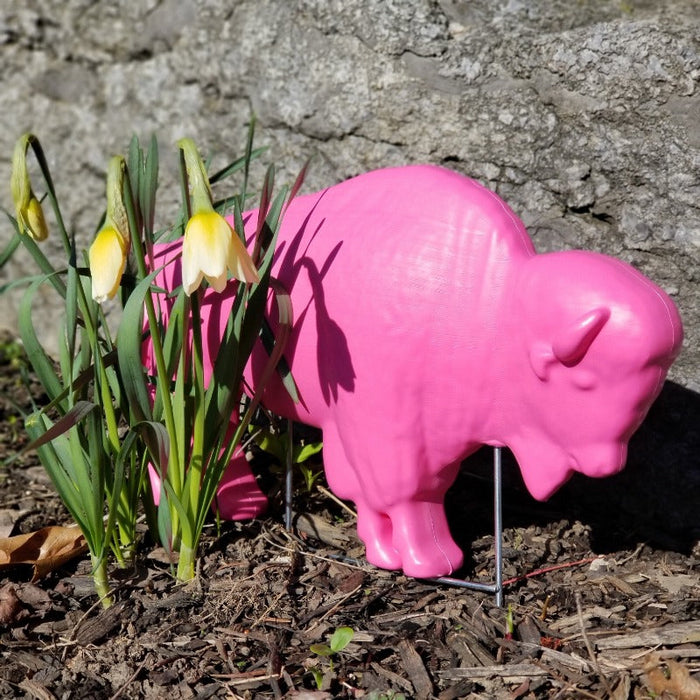 PINK BUFFALO LAWN ORNAMENT NEXT TO FLOWERS OUTSIDE