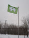 GREEN FLAG WITH WHITE STANDING BUFFALO AND THREE LEAF CLOVER IN THE CENTER ON AN IN GROUND FLAGPOLE