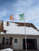 GREEN WHITE AND ORANGE IRELAND FLAG WITH A WHITE STANDING BUFFALO IN THE CENTER ON A FLAGPOLE