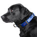 Buffalo Bills Premium Dog Collar