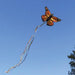 Monarch Butterfly Kite