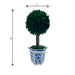 14" Naturally Preserved Boxwood Ceramic Pot Tree Topiary