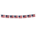 USA Flags on String