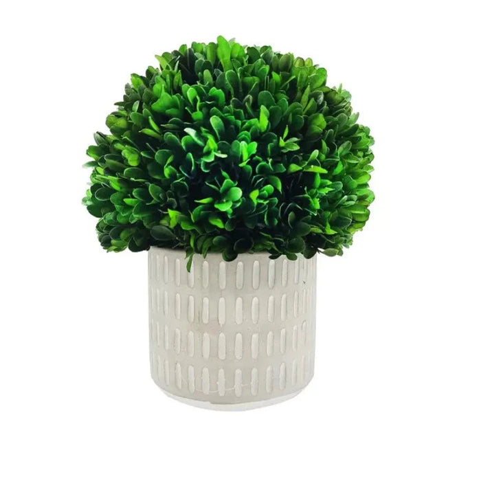 9.5" Naturally Preserved Boxwood Ball Slat Pot