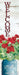 Patriotic Geraniums Yard Expression