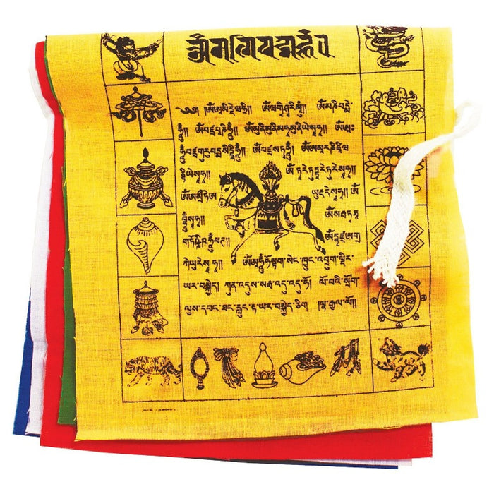 FLAG SET WITH TIBETAN WRITING