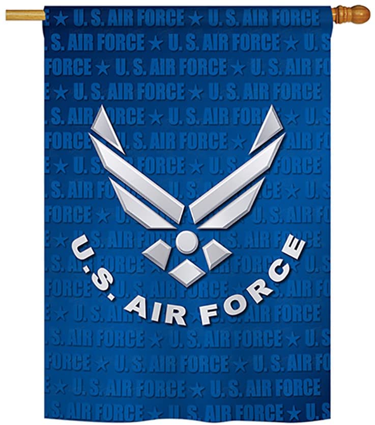 US Air Force Wings Banner Flag – Ace Flag & Visual Promotion