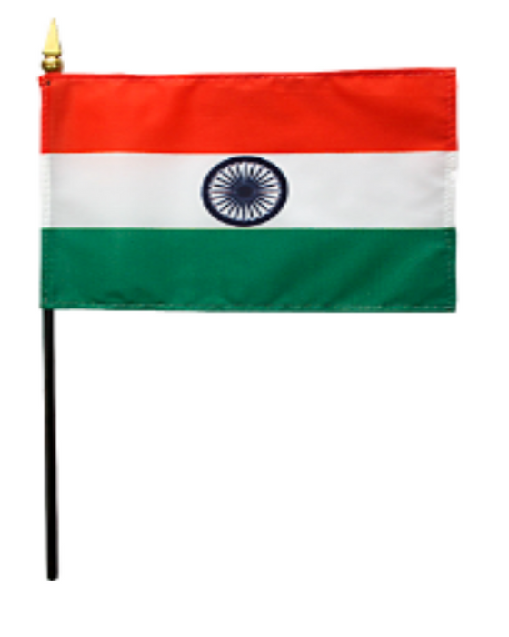 8x12" India Stick Flag