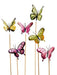Assorted Style Butterfly Plant Pick in various shades of pinks & yellows