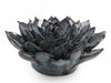 Handmade Ceramic Blue Grey Succulent