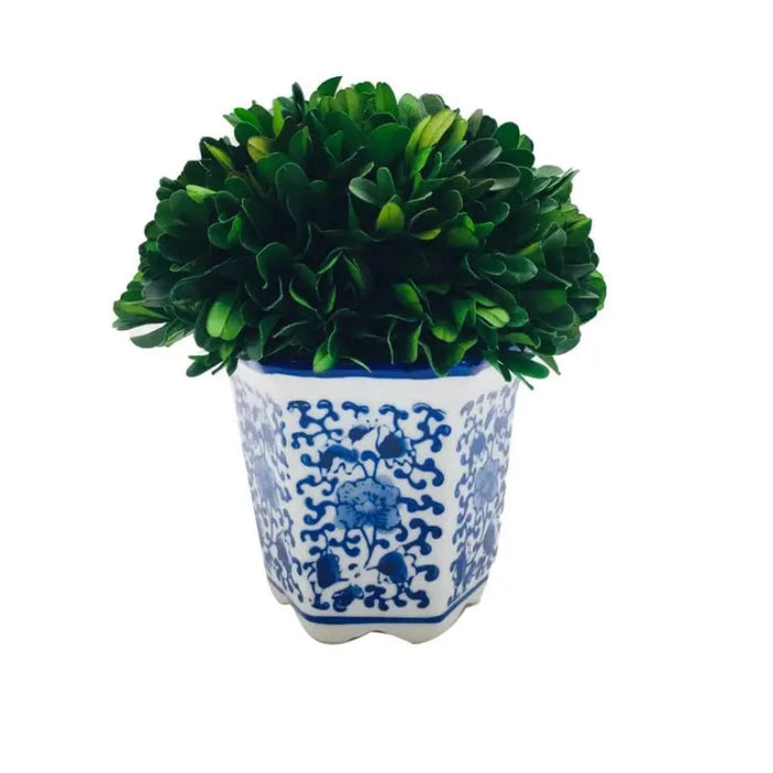 9.5" Naturally Preserved Boxwood Ball in Floral Ceramic Pot