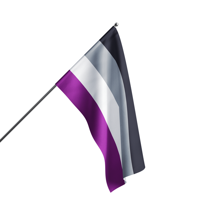 3x5' Ace Asexual Pride Flag | LGBTQ+ Flags | Made in USA