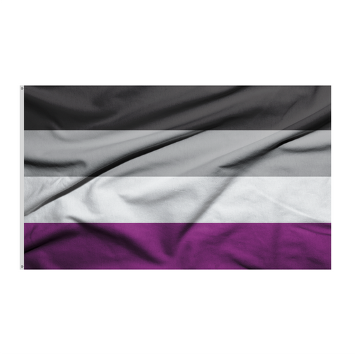 3x5' Ace Asexual Pride Flag | LGBTQ+ Flags | Made in USA