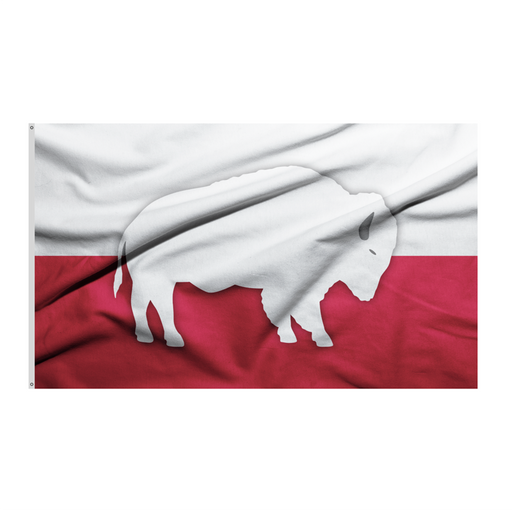 3x5' Buffalo Poland Polyester Flag - Made in USA